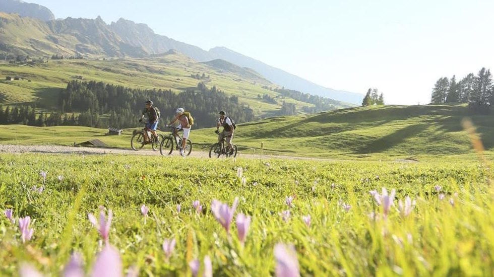5 buoni motivi per andare in e-bike in Alto Adige