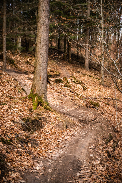 prestazioni di una e-Mtb