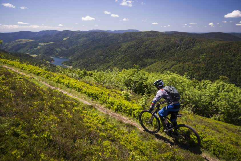 Cannondale Habit Neo