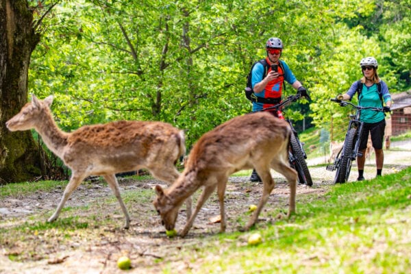 Valtellina e-bike festival