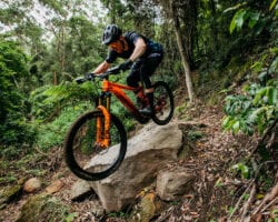 Team Ews ed Ews-E 2021